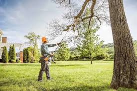 Reliable South Yarmouth, MA Tree Care Services Solutions